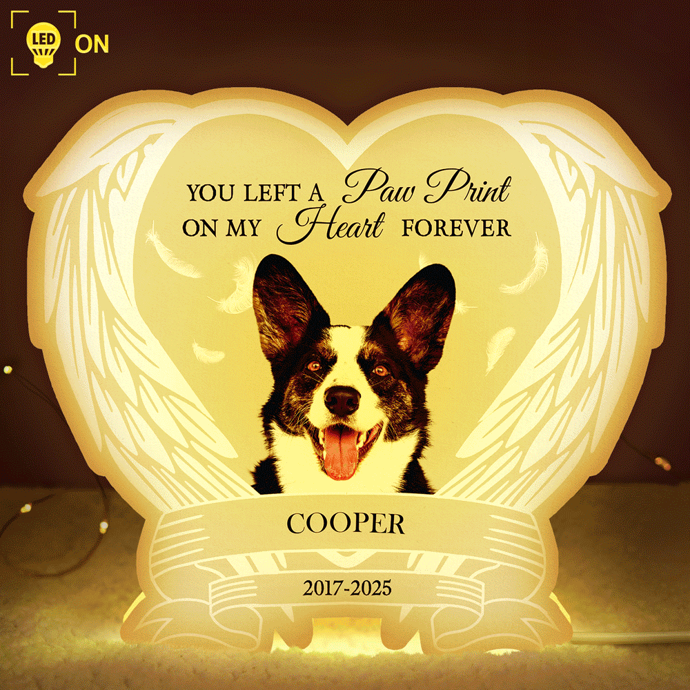 Pet Lovers,Cat Lovers,Dog Lovers,Sad,Memorial - Custom Photo Forever Loved Memorial Dog Cat - Personalized Custom Shaped Light Box