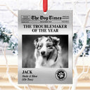 Pet Lovers,Christmas,Funny,Custom Photo - Custom Photo The Dog Times, The Meow Times - Personalized Metal Ornament