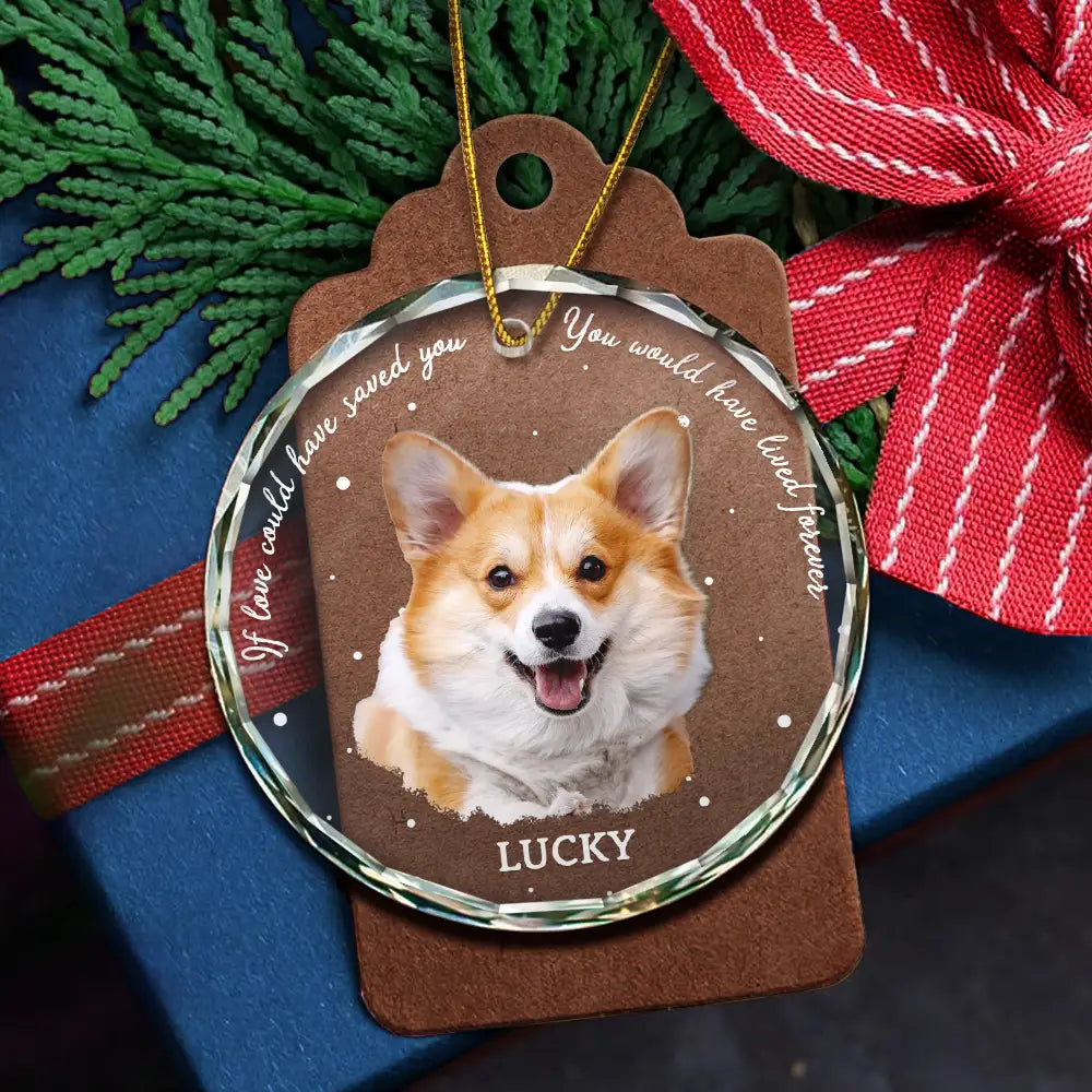 Custom Photo,Pet Lovers,Memorial,Sad - Custom Photo B&W Pet Loss Pet Memorial Forever Leaving Pawprints - Personalized Circle Glass Ornament