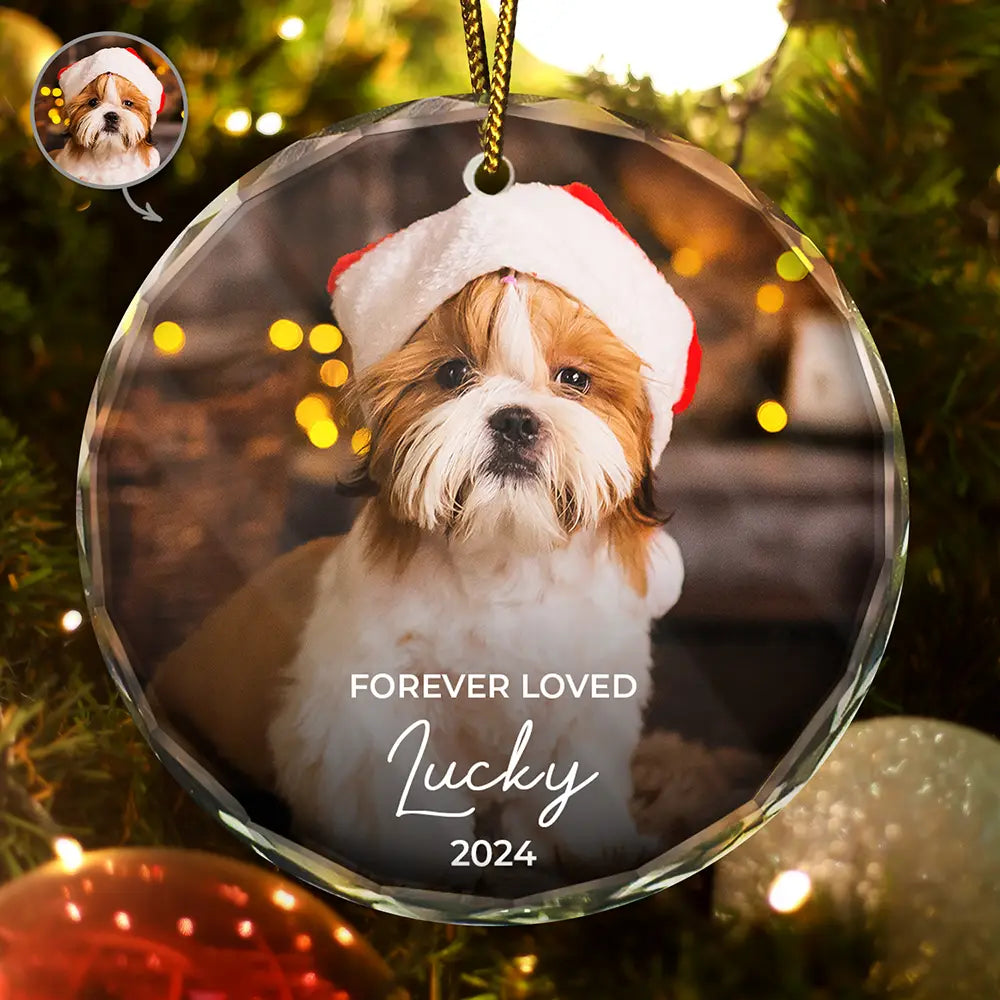 Memorial, Pet Lovers, Cat Lovers, Dog Lovers - Custom Photo Forever Loved Memorial Dog Cat Pet - Personalized Glass Ornament