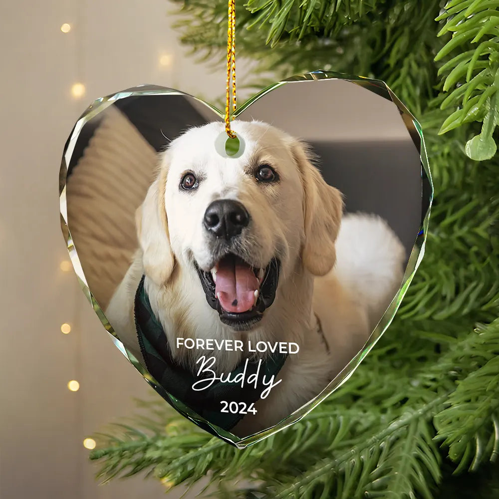 Memorial, Pet Lovers, Cat Lovers, Dog Lovers - Custom Photo Forever Loved Memorial Dog Cat Pet - Personalized Glass Ornament