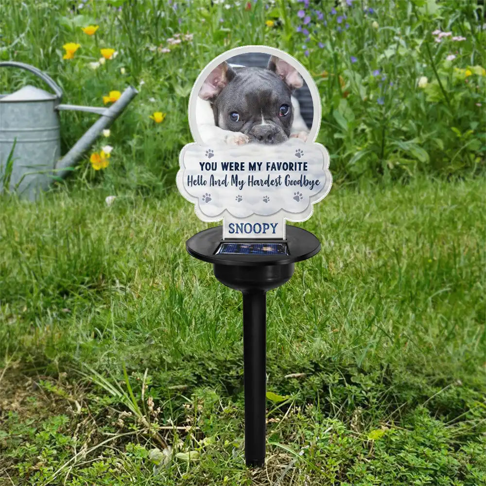 Sentimental,Custom Photo,Pet Lovers,Memorial,Upload Full Photo - Custom Photo I Will Carry You With Me - Personalized Solar Light
