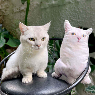 Custom Shaped Pillow