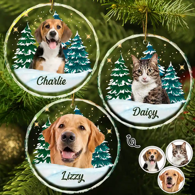 Combo Circle Glass Ornament