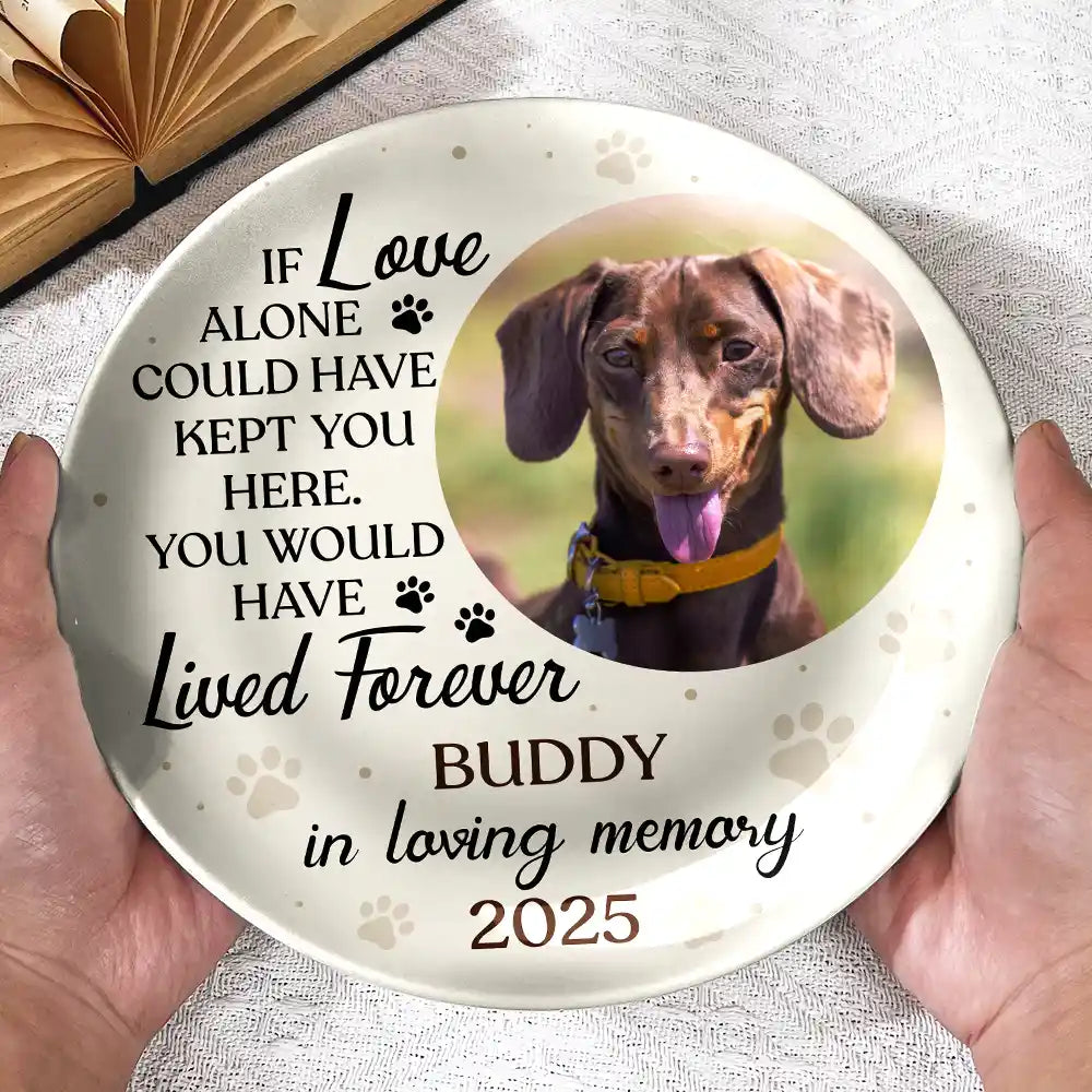 Dog Lovers,Cat Lovers,Memorial,Pet Lovers - Custom Photo You Were My Favorite Hello Memorial Dog Cat - Personalized Ceramic Plate