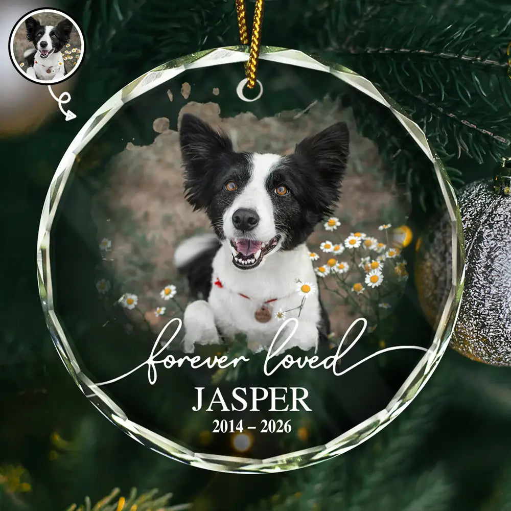 Custom Photo Memorial Pet Forever Loved - Personalized Circle Glass Ornament