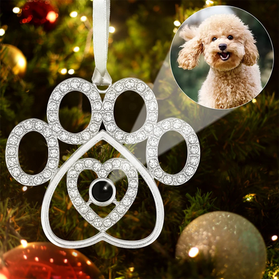 Photo Projection Ornament