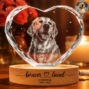 Art Design,Healing,Pet Memorial,Pet Lovers,Memorial,Photo - Pencil Sketch - Dark BG - Custom Photo White Pencil Sketch Art Forever Loved Memorial Dog Cat - Personalized Crystal Heart Shaped Lamp