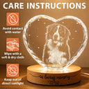 Art Design,Healing,Pet Memorial,Pet Lovers,Memorial,Photo - Pencil Sketch - Dark BG - Custom Photo White Pencil Sketch Art Forever Loved Memorial Dog Cat - Personalized Crystal Heart Shaped Lamp