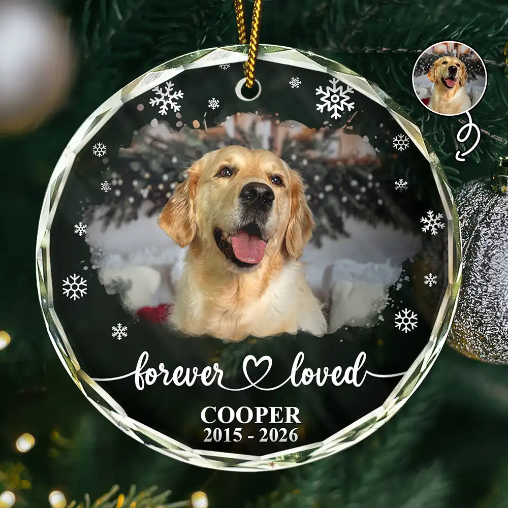Custom Photo Forever Loved Memorial Dog Cat - Personalized Circle Glass Ornament