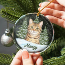 Art Design,Christmas,Cozy,Pet Lovers,Photo - Colored Pencil  - Custom Photo Colored Pencil Sketch Dog Cat Pet - Personalized Circle Glass Ornament