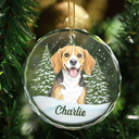 Art Design,Christmas,Cozy,Pet Lovers,Photo - Colored Pencil  - Custom Photo Colored Pencil Sketch Dog Cat Pet - Personalized Circle Glass Ornament