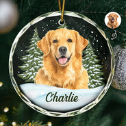 Art Design, Christmas, Cozy, Pet Lovers, Photo - Watercolor - Remove BG - Custom Photo Realistic Watercolor Art Dog Cat Pet - Personalized Circle Glass Ornament