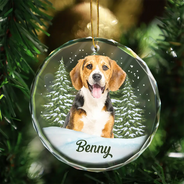 Art Design, Christmas, Cozy, Pet Lovers, Photo - Watercolor - Remove BG - Custom Photo Realistic Watercolor Art Dog Cat Pet - Personalized Circle Glass Ornament