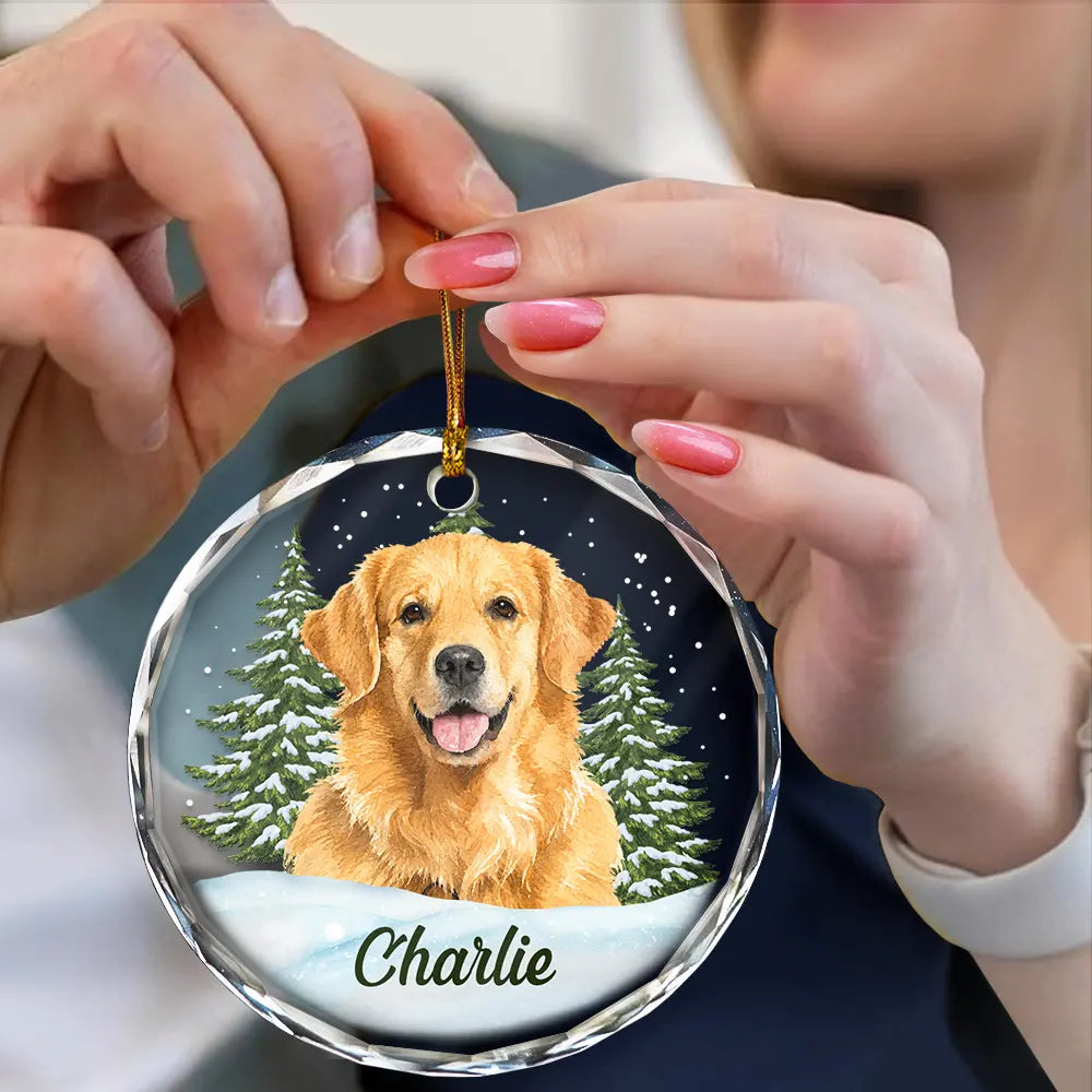 Art Design, Christmas, Cozy, Pet Lovers, Photo - Watercolor - Remove BG - Custom Photo Realistic Watercolor Art Dog Cat Pet - Personalized Circle Glass Ornament