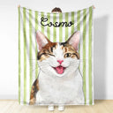 Art Design,Playful,Pet Lovers,Photo - Vivid Watercolor Art - Custom Photo Vivid Watercolor Art Happy Dog Cat Pet Stripe - Personalized Fleece Blanket, Sherpa Blanket