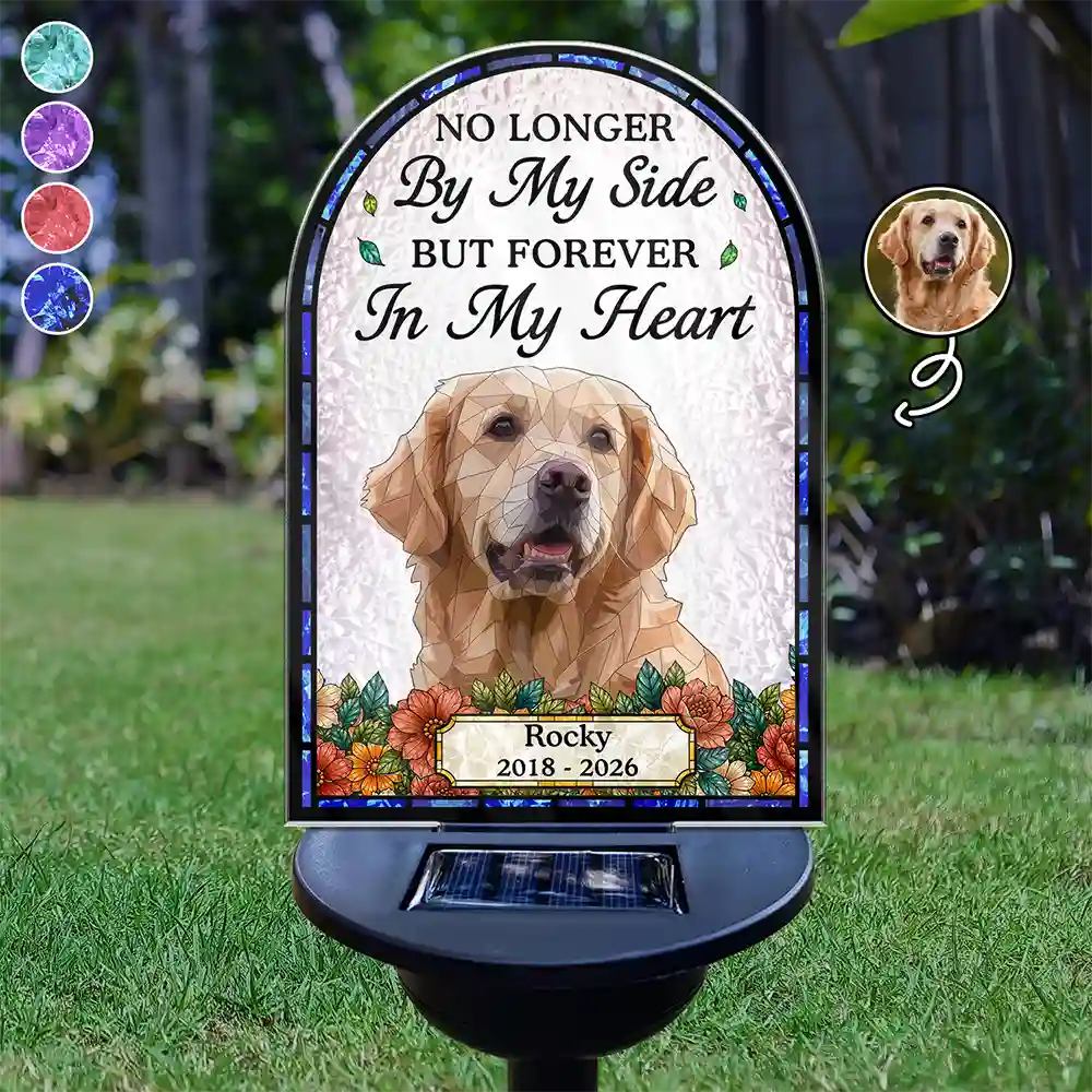 Art Design,Christmas,Pet Memorial,Sympathetic,Pet Lovers,Memorial,Photo - Stained Glass - Custom Photo Stained Glass Memorial Pet Forever In My Heart Always Loved - Personalized Solar Light