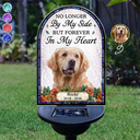 Art Design,Christmas,Pet Memorial,Sympathetic,Pet Lovers,Memorial,Photo - Stained Glass - Custom Photo Stained Glass Memorial Pet Forever In My Heart Always Loved - Personalized Solar Light