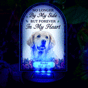 Art Design,Christmas,Pet Memorial,Sympathetic,Pet Lovers,Memorial,Photo - Stained Glass - Custom Photo Stained Glass Memorial Pet Forever In My Heart Always Loved - Personalized Solar Light