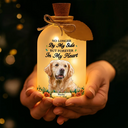 Art Design,Christmas,Pet Memorial,Sympathetic,Pet Lovers,Memorial,Photo - Stained Glass - Custom Photo Stained Glass Memorial Pet Forever In My Heart Always Loved - Personalized Short Bottle Light