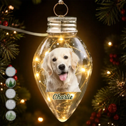 Christmas,Cozy,Custom Photo,Family,Memorial,Remove BG Photo - Christmas Gift For Family Kids Pet Lovers - Personalized Custom Photo Christmas Together Family Chili Bulb LED Light
