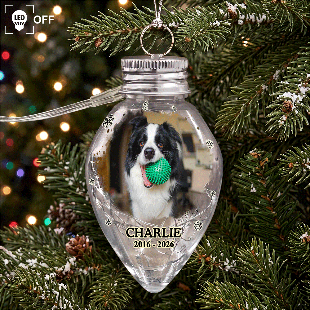 Christmas,Custom Photo,Sympathetic,Pet Lovers,Memorial,Upload Full Photo - Custom Photo Memorial Pet Always Shines In My Heart - Personalized Chili Bulb LED Light