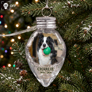 Christmas,Custom Photo,Sympathetic,Pet Lovers,Memorial,Upload Full Photo - Custom Photo Memorial Pet Always Shines In My Heart - Personalized Chili Bulb LED Light