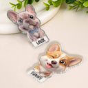 Adorable,Art Design,Pet Lovers,Photo - 3D Chibi Adorable Pet - Custom Photo 3D Chibi Pet Dog Cat With Name - Personalized Acrylic Magnet