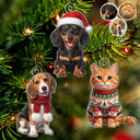 Art Design,Playful,Christmas,Pet Lovers,Photo - Christmas Accessories 3D Cartoon Pet - Custom Photo 3D Christmas Themed Pet Funny Dog Cat - Personalized Custom Shaped Acrylic Ornament