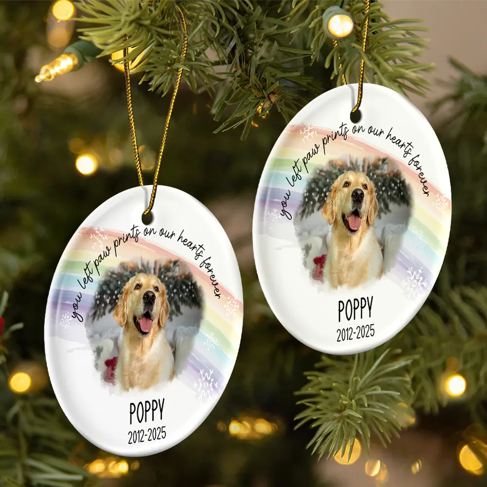 Pet Lovers,Pet Mom,Pet Dad,Pet Couple,Dog Lovers,Dog Mom,Dog Dad,Dog Couple,Cat Lovers,Cat Mom,Cat Dad,Cat Couple,Memorial,Sad,Christmas - Custom Photo A Best Friend Is Never Forgotten - Personalized Circle Ceramic Ornament