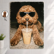 Custom Photo,Art Design,Pet Lovers,Humorous,Photo - Cool Street Pet - Custom Photo Cool Street Pet Portrait - Personalized Classic Metal Signs