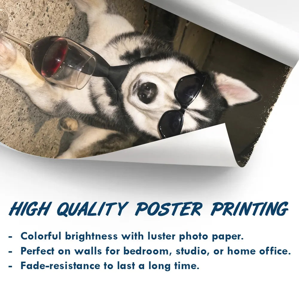 Custom Photo,Art Design,Pet Lovers,Humorous,Photo - Cool Street Pet - Custom Photo Cool Street Pet Portrait - Personalized Poster