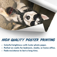 Custom Photo,Art Design,Pet Lovers,Humorous,Photo - Cool Street Pet - Custom Photo Cool Street Pet Portrait - Personalized Poster