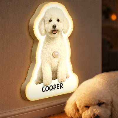 Motion Sensor Night Light