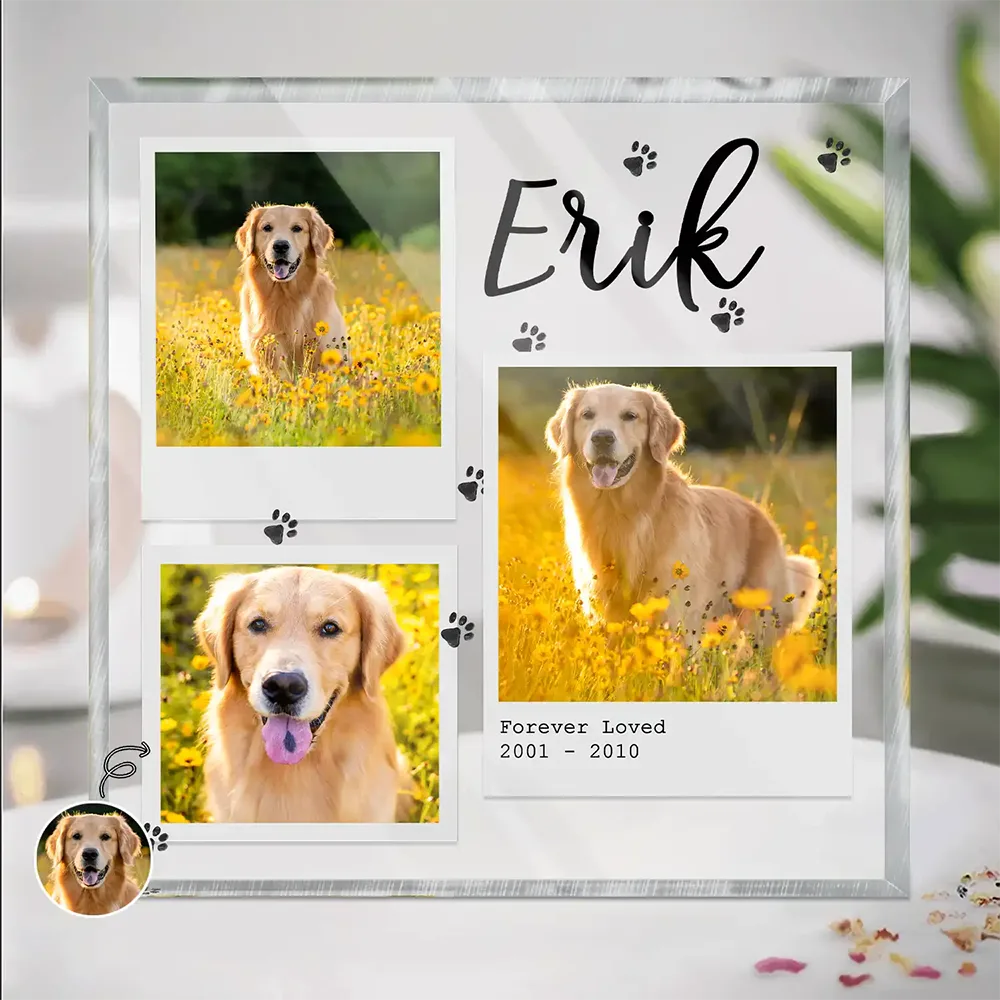 Custom Photo Dog Cat Pet Memorial - Personalized Square Shaped Acrylic Plaque