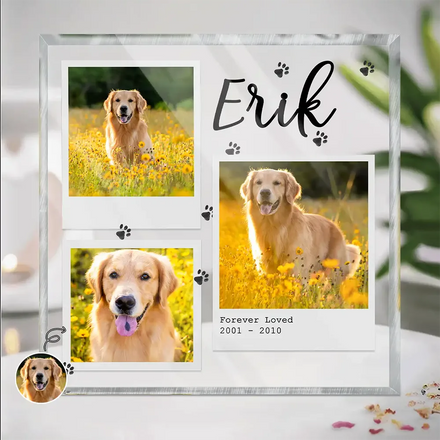 Custom Photo Dog Cat Pet Memorial - Personalized Square Shaped Acrylic Plaque