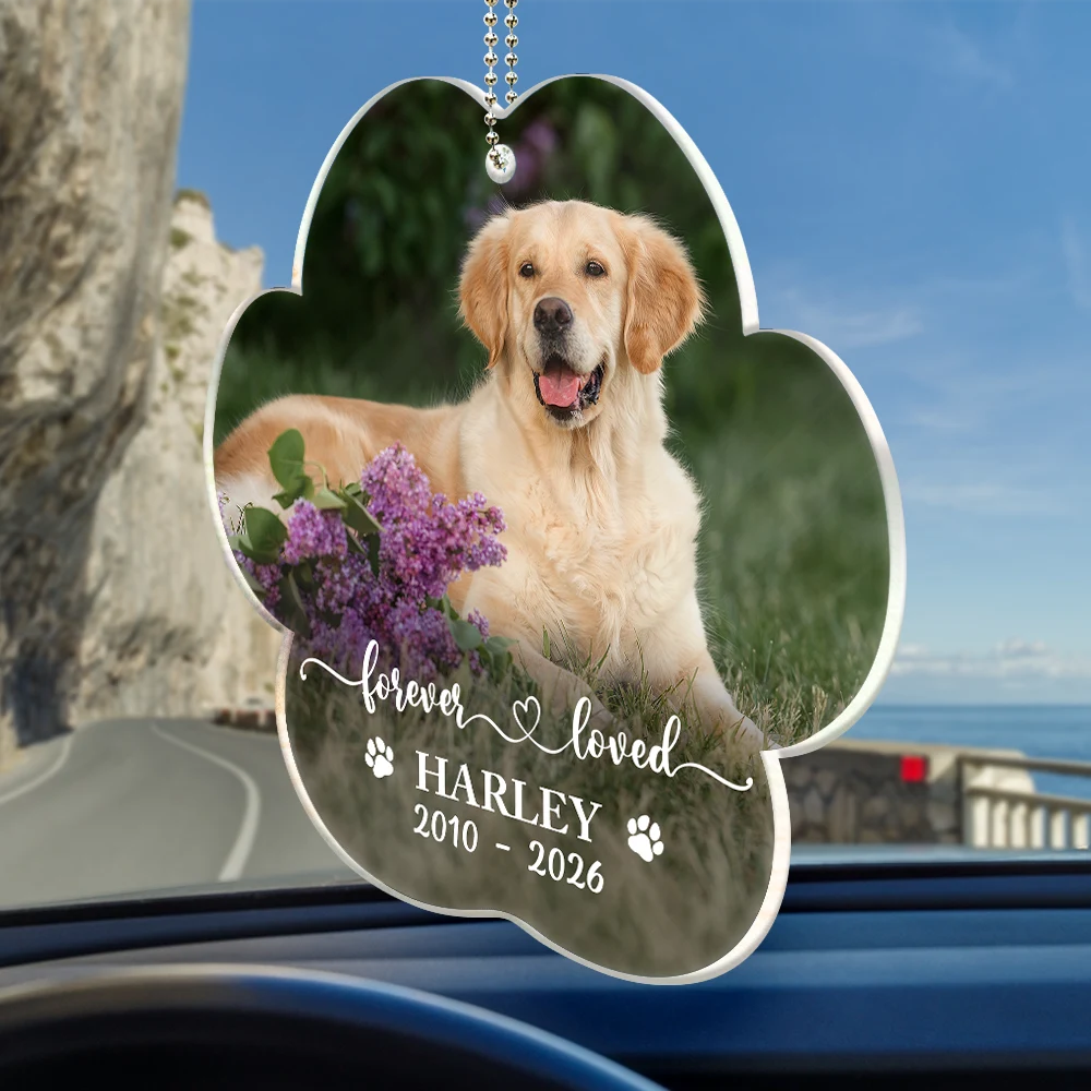 Custom Photo, Pet Lovers, Memorial, Sympathetic, Dynamic Photo - Custom Photo Forever In My Heart Dog Cat Memorial - Personalized Acrylic Car Hanger