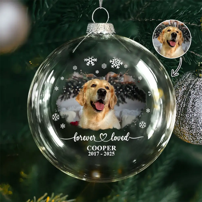 Clear Flat Ball Ornament