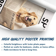 Custom Photo, Art Design, Pet Lovers, Humorous, Photo - Funny Bathroom Pet  - Custom Photo Funny Bathroom Pet Nice Butt Are You Pooping Toilet Dog Cat - Personalized Poster