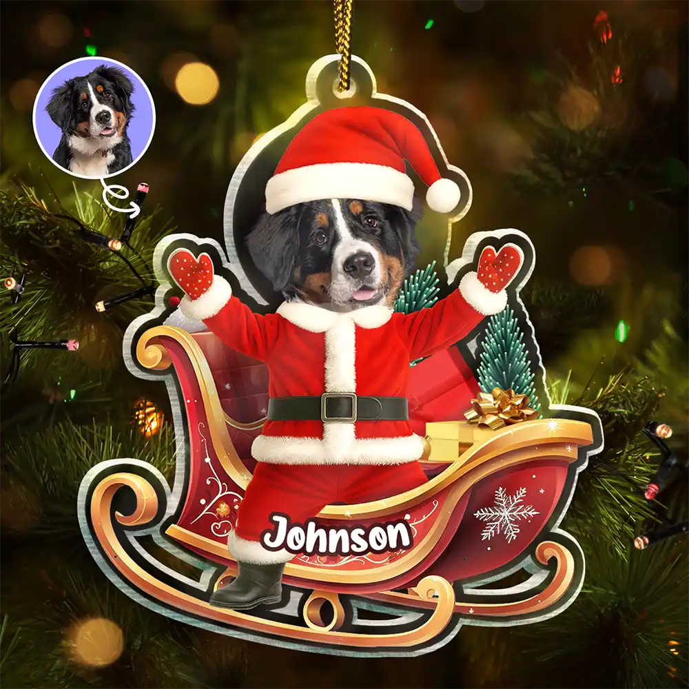Custom Photo Funny Santa Face - Personalized Custom Shaped Acrylic Ornament