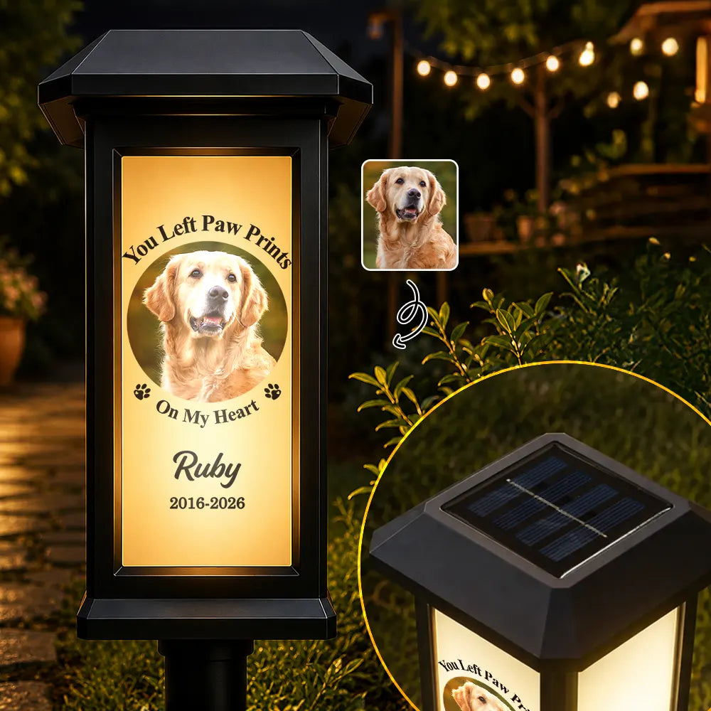 Custom Photo Memorial Dog Cat Pet You Left Paw Prints On My Heart - Personalized Solar Garden Light