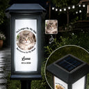Christmas,Custom Photo,Sympathetic,Pet Lovers,Memorial,Upload Full Photo - Custom Photo Memorial Dog Cat Pet You Left Paw Prints On My Heart - Personalized Solar Garden Light