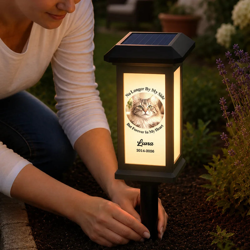 Christmas,Custom Photo,Sympathetic,Pet Lovers,Memorial,Upload Full Photo - Custom Photo Memorial Dog Cat Pet You Left Paw Prints On My Heart - Personalized Solar Garden Light