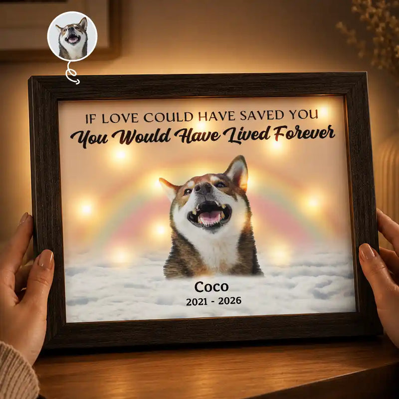 Christmas,Custom Photo,Sympathetic,Pet Lovers,Memorial,Remove BG Photo - Custom Photo Memorial Forever In My Heart - Personalized LED Light Shadow Box