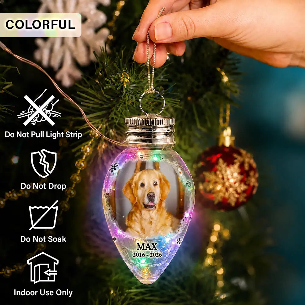 Christmas,Custom Photo,Sympathetic,Pet Lovers,Memorial,Upload Full Photo - Custom Photo Memorial Pet Always Shines In My Heart - Personalized Chili Bulb LED Light