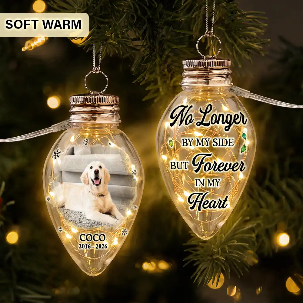 Christmas,Custom Photo,Sympathetic,Pet Lovers,Memorial,Upload Full Photo - Custom Photo Memorial Pet Always Shines In My Heart - Personalized Chili Bulb LED Light