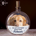 Christmas,Custom Photo,Pet Memorial,Sympathetic,Pet Lovers,Memorial,Remove BG Photo - Custom Photo Memorial Pet Forever In My Heart - Personalized Round Flat Bottle Light