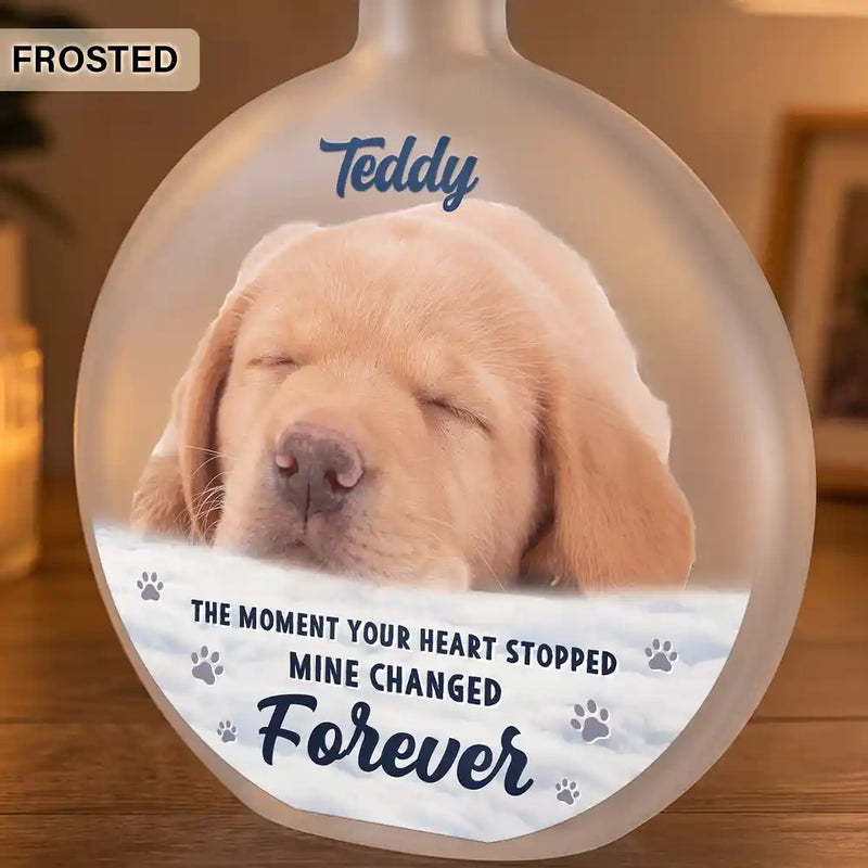 Christmas,Custom Photo,Pet Memorial,Sympathetic,Pet Lovers,Memorial,Remove BG Photo - Custom Photo Memorial Pet Forever In My Heart - Personalized Round Flat Bottle Light