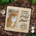 Christmas,Custom Photo,Pet Memorial,Sympathetic,Pet Lovers,Memorial,Upload Full Photo - Custom Photo Memorial Pet I Loved You Your Whole Life - Personalized Rectangle Memorial Garden Stone