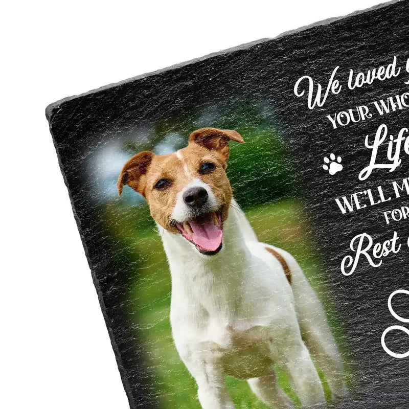 Christmas,Custom Photo,Pet Memorial,Sympathetic,Pet Lovers,Memorial,Upload Full Photo - Custom Photo Memorial Pet I Loved You Your Whole Life - Personalized Rectangle Memorial Garden Stone